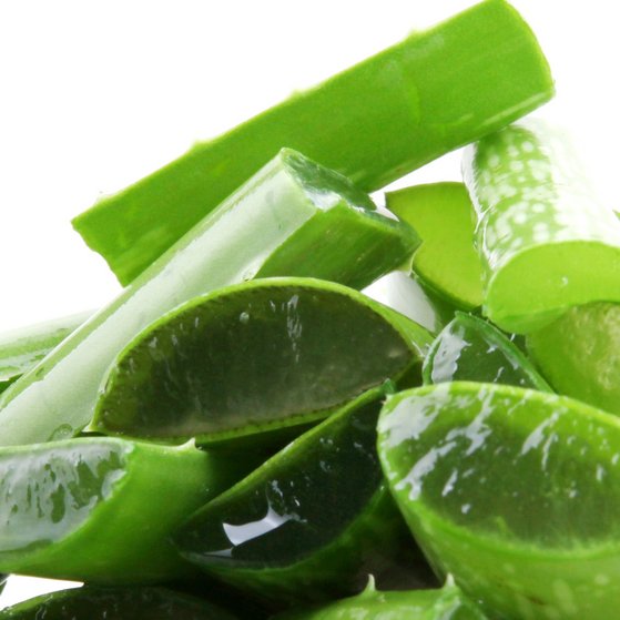 Aufgeschnittene Aloe-Vera-Stränge, in denen man das Fruchtfleisch sehen kann.